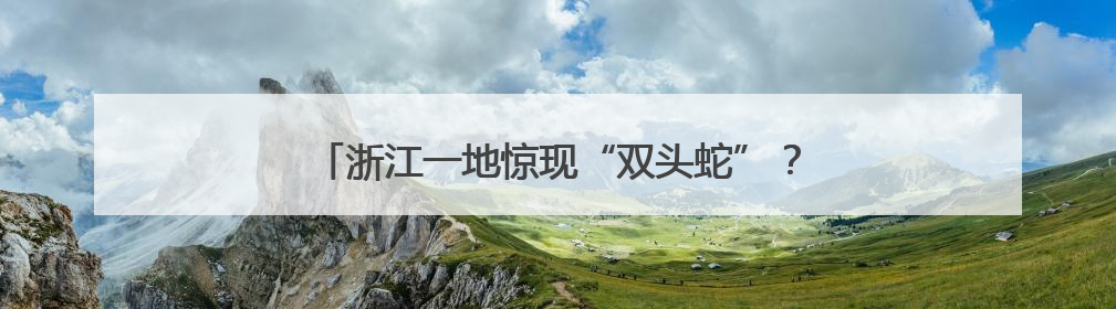 浙江一地惊现“双头蛇”？！村民吓懵：还会倒着爬