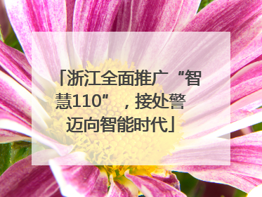 浙江全面推广“智慧110”，接处警迈向智能时代