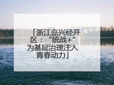 浙江嘉兴经开区：“统战+”为基层治理注入青春动力