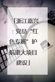 浙江嘉兴：党员“红色专班”护航重大项目建设