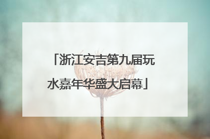 浙江安吉第九届玩水嘉年华盛大启幕