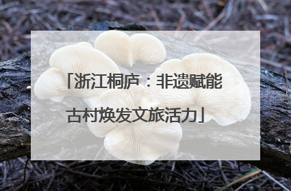 浙江桐庐：非遗赋能古村焕发文旅活力
