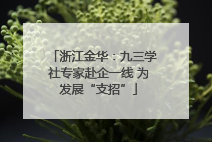 浙江金华：九三学社专家赴企一线 为发展“支招”