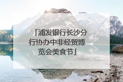 浦发银行长沙分行协办中非经贸博览会美食节