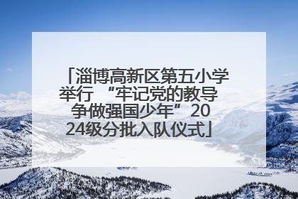 淄博高新区第五小学举行 “牢记党的教导 争做强国少年”2024级分批入队仪式