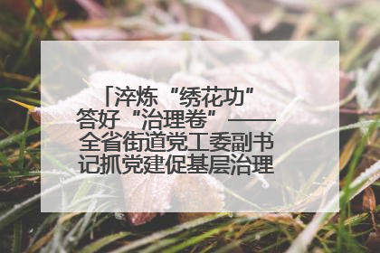 淬炼“绣花功” 答好“治理卷”——全省街道党工委副书记抓党建促基层治理培训示范班侧记