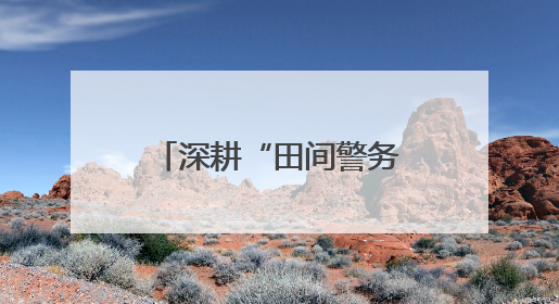 深耕“田间警务”，新疆生产建设兵团第二师公安以警护农绘就乡村振兴平安画卷