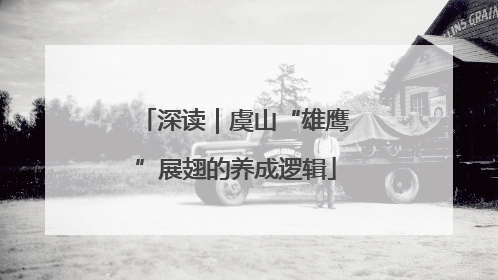 深读｜虞山“雄鹰”展翅的养成逻辑
