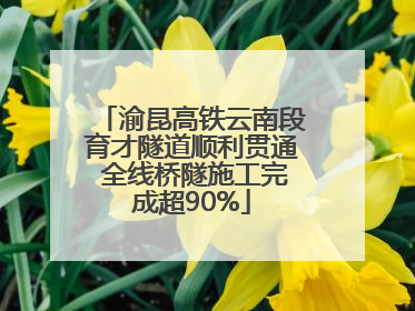 渝昆高铁云南段育才隧道顺利贯通 全线桥隧施工完成超90%