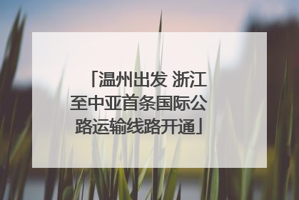 温州出发 浙江至中亚首条国际公路运输线路开通