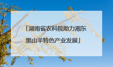 湖南省农科院助力湘东黑山羊特色产业发展