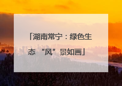 湖南常宁：绿色生态 “风”景如画