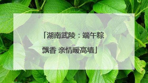湖南武陵：端午粽飘香 亲情暖高墙