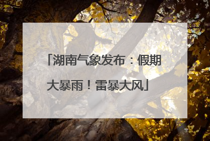 湖南气象发布：假期大暴雨！雷暴大风