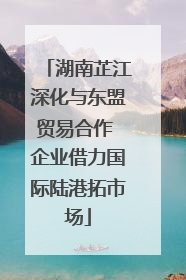 湖南芷江深化与东盟贸易合作 企业借力国际陆港拓市场