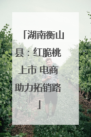湖南衡山县：红脆桃上市 电商助力拓销路