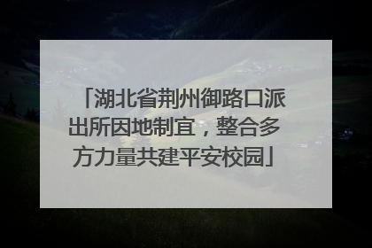 湖北省荆州御路口派出所因地制宜，整合多方力量共建平安校园