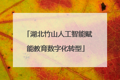 湖北竹山人工智能赋能教育数字化转型