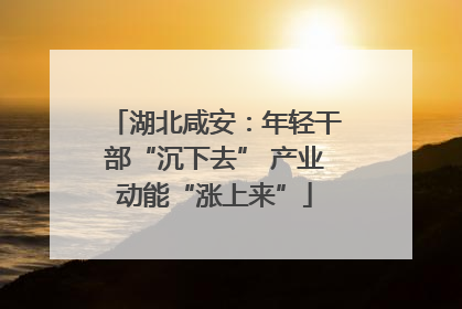湖北咸安：年轻干部“沉下去” 产业动能“涨上来”