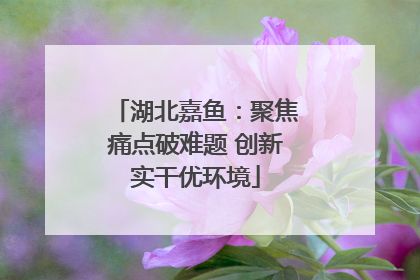 湖北嘉鱼：聚焦痛点破难题 创新实干优环境