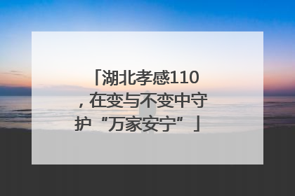 湖北孝感110，在变与不变中守护“万家安宁”