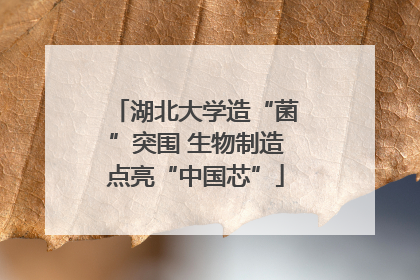 湖北大学造“菌”突围 生物制造点亮“中国芯”