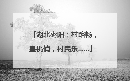 湖北枣阳：村路畅，皇桃俏，村民乐……