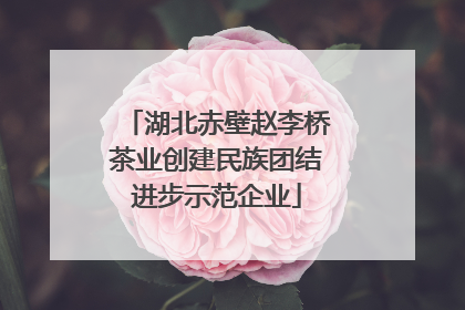 湖北赤壁赵李桥茶业创建民族团结进步示范企业