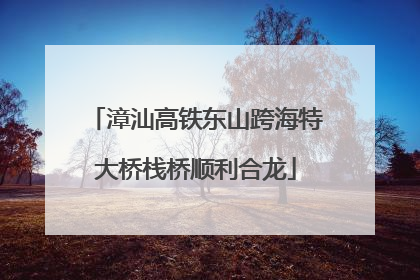 漳汕高铁东山跨海特大桥栈桥顺利合龙