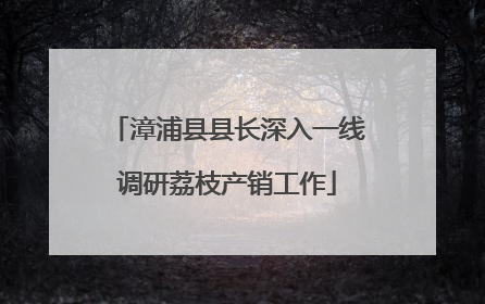 漳浦县县长深入一线调研荔枝产销工作