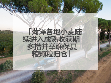 菏泽各地小麦陆续进入成熟收获期 多措并举确保夏粮颗粒归仓