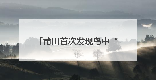 莆田首次发现鸟中“大熊猫”黄腹角雉！