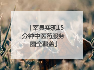 莘县实现15分钟中医药服务圈全覆盖