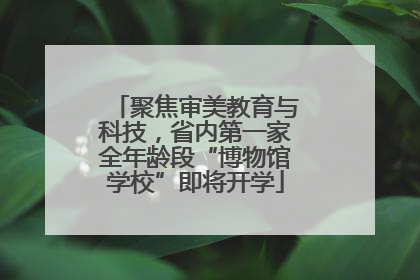 聚焦审美教育与科技，省内第一家全年龄段“博物馆学校”即将开学