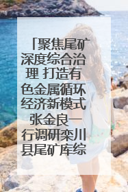 聚焦尾矿深度综合治理 打造有色金属循环经济新模式 张金良一行调研栾川县尾矿库综合治理工作