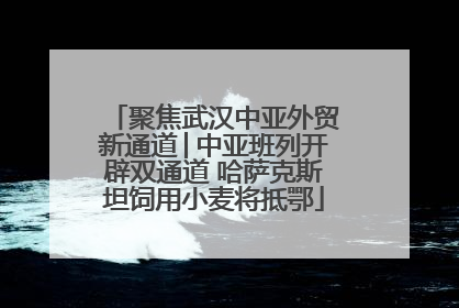 聚焦武汉中亚外贸新通道│中亚班列开辟双通道 哈萨克斯坦饲用小麦将抵鄂