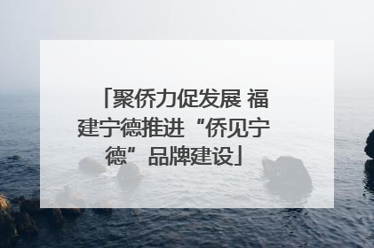 聚侨力促发展 福建宁德推进“侨见宁德”品牌建设