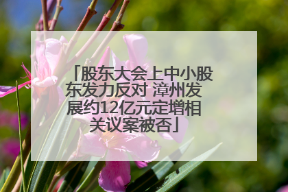股东大会上中小股东发力反对 漳州发展约12亿元定增相关议案被否