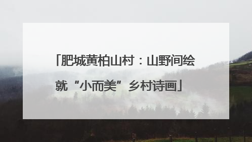 肥城黄柏山村：山野间绘就“小而美”乡村诗画