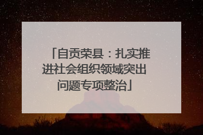 自贡荣县：扎实推进社会组织领域突出问题专项整治