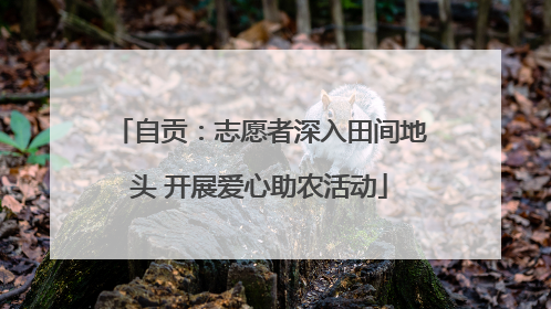 自贡：志愿者深入田间地头 开展爱心助农活动