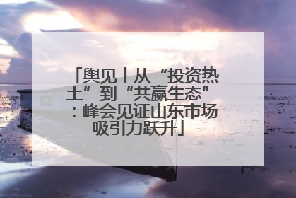 舆见丨从“投资热土”到“共赢生态”：峰会见证山东市场吸引力跃升
