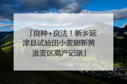 良种+良法！新乡延津县试验田小麦刷新黄淮麦区高产记录