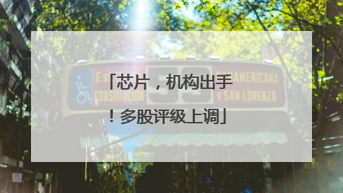 芯片，机构出手！多股评级上调