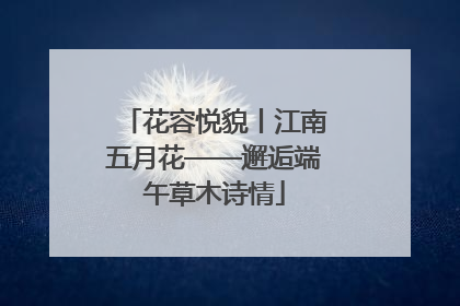 花容悦貌丨江南五月花——邂逅端午草木诗情