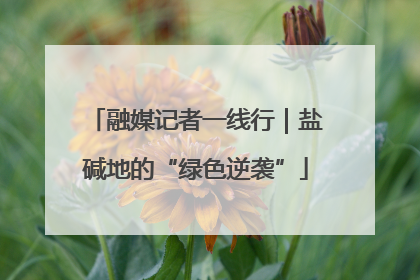 融媒记者一线行｜盐碱地的“绿色逆袭”