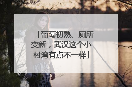 葡萄初熟、厕所变新，武汉这个小村湾有点不一样