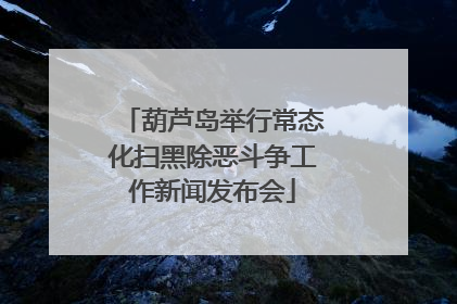 葫芦岛举行常态化扫黑除恶斗争工作新闻发布会