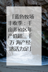 蓝色牧场丰收季：千亩养殖区年产值超三千万 海产经济活力足