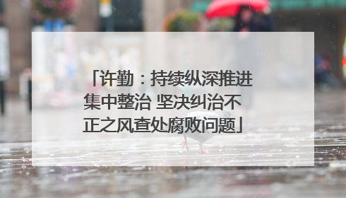 许勤：持续纵深推进集中整治 坚决纠治不正之风查处腐败问题